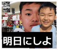 857772005