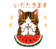 857773504
