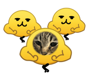 857773804