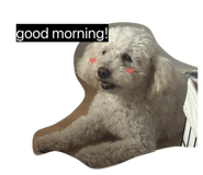 857774145