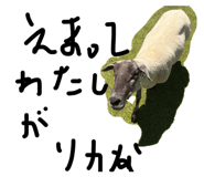 857774392