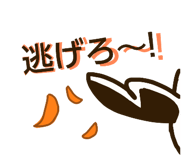 857775443
