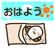 857775446