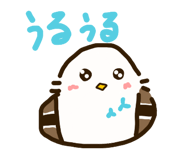 857775454