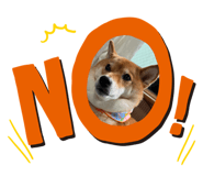 857775457