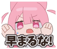 857775737