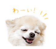 857775950