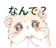 857776612