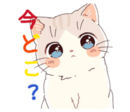 857776613
