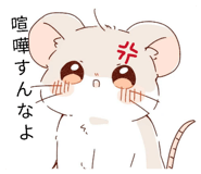 857776620