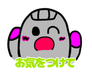 857777997