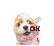 857778115