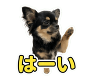 857778155