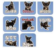 857778160