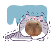 857779258