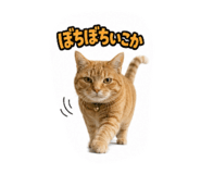 857780020