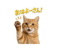 857780021