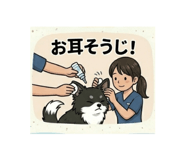 857780675
