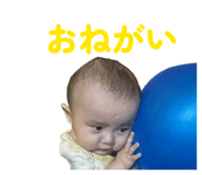 857782243