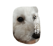 857782459