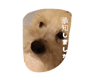 857782469