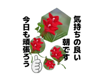857783042