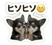857783111