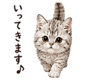 857783164