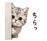 857783165