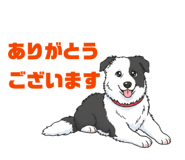 857783227