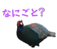 857783601