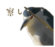 857783603