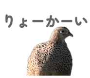 857783606