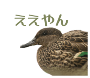 857783607