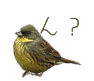 857783609