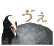 857783616
