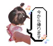 857784304