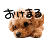 857784358