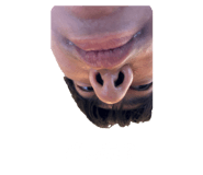 857784442