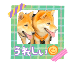 857784730