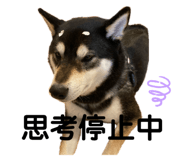857785212