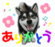 857785213