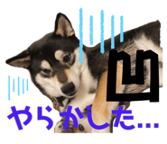 857785214