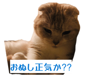 857785978
