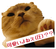 857785982