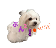 857786005