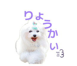 857786013