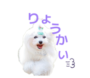 857786013