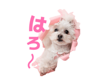 857786014
