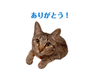 857786358